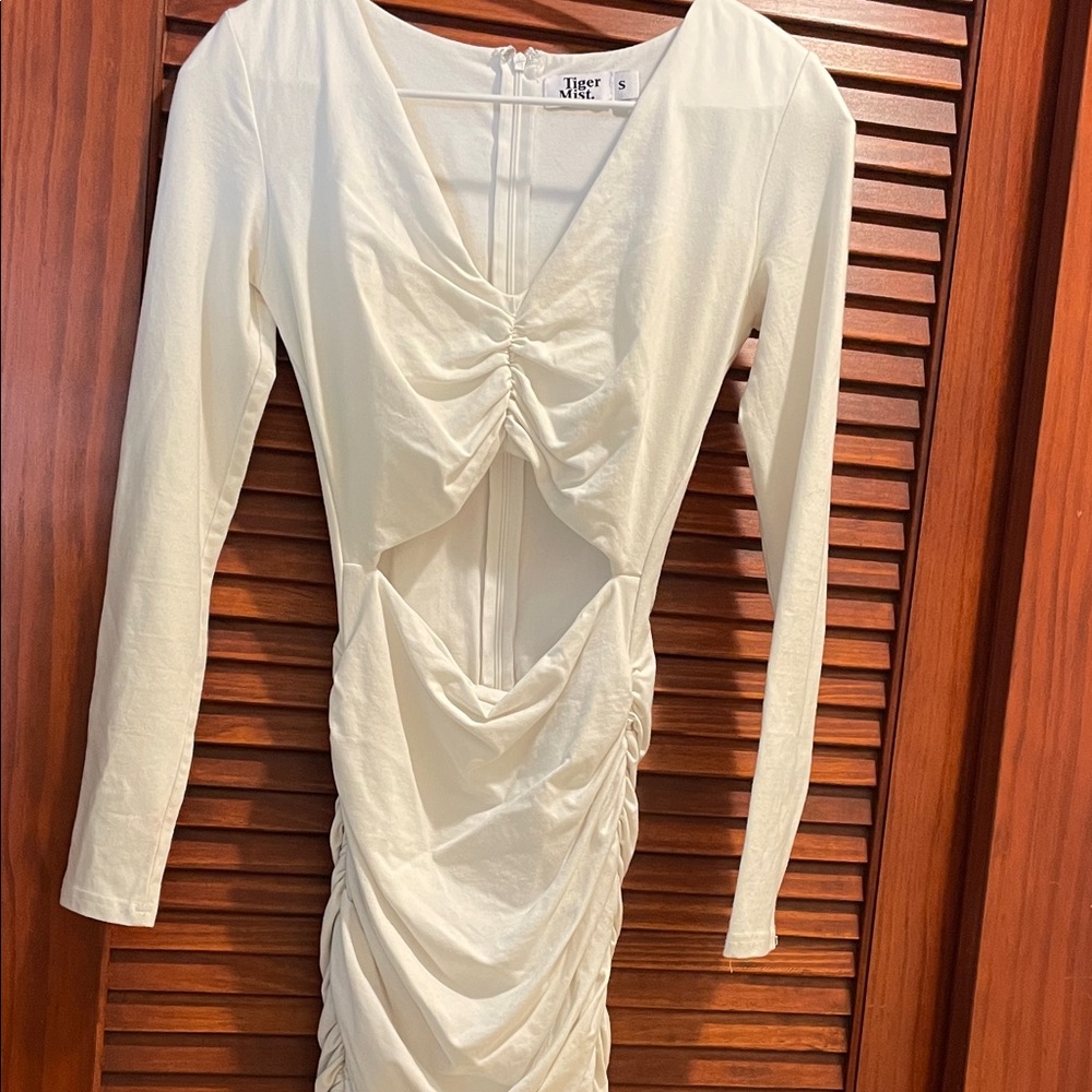 Tiger Mist Cream Long Sleeve Dress